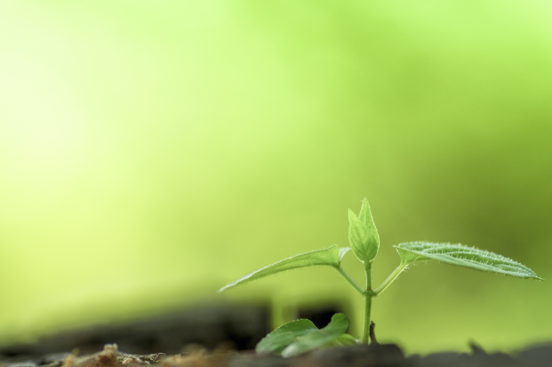 株式会社タカダ｜排水処理・臭気対策・浄化槽管理・畜産経営